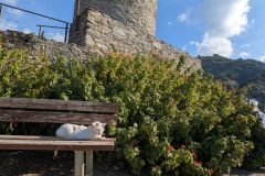 PXL_20251019_091242032-scaled