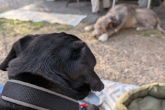 PXL_20251019_143005583