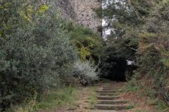 PXL_20251022_124345409-scaled