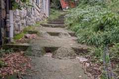 PXL_20251022_124706382-scaled