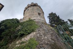 PXL_20251022_132935291-scaled