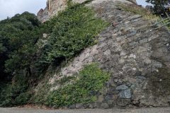 PXL_20251022_133006851-scaled