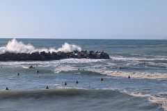 PXL_20251024_135422168-scaled