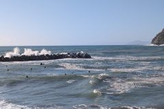 PXL_20251024_135439237-scaled