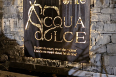 PXL_20251024_175159675-1